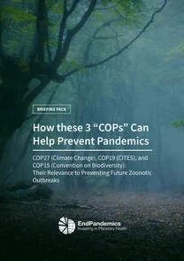 Cover of the EndPandemics briefing pack “How these 3 COPs can help prevent pandemics”, over a misty forest