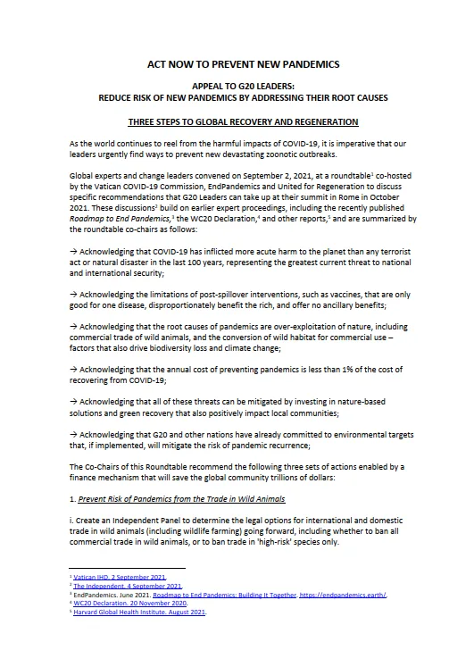 First page of the appeal “Act now to prevent new pandemics”, addressed to G20 leaders