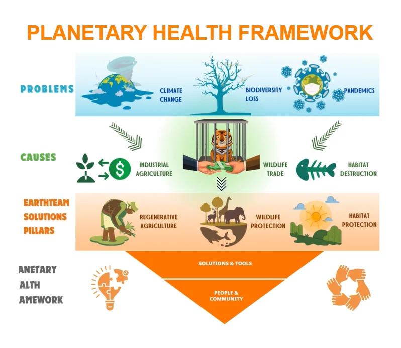 Planetary Health Framework. Problems: climate change, biodiversity loss and pandemics. Causes: industrial agriculture, wildlife trade and habitat destruction. EarthTeam solution pillars: regenerative agriculture, wildlife protection and habitat protection, built on solutions and tools, people and community.