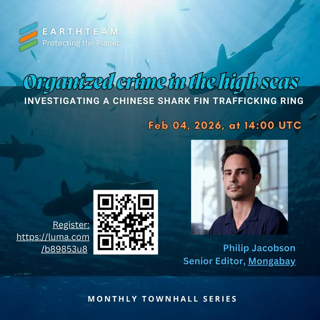Poster: Organized Crime In The High Seas